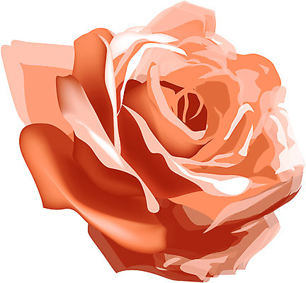 EPS 클립아트 식물 꽃 한송이 일러스트 여름꽃 자연 사람없음 장미 11월 탄생화 국내일러스트 1 날짜 생태계 송이 파일형식 벡터 여름_계절