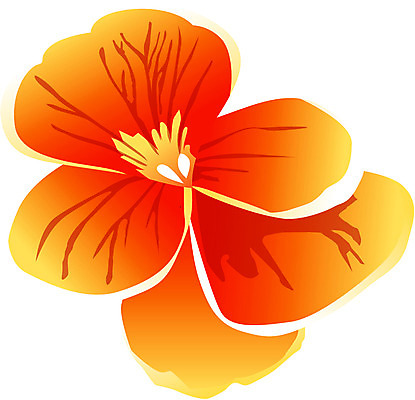 EPS 클립아트 식물 꽃 한송이 일러스트 자연 사람없음 노란색 12월 팬지 탄생화 국내일러스트 1 컬러 날짜 생태계 송이 파일형식 벡터