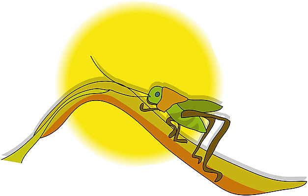 EPS 클립아트 사계절 계절 명절 곤충 절지류 일러스트 자연 한국 사람없음 추석 보름달 가을 메뚜기 귀뚜라미 국내일러스트 동물 전통 기념일 아시아 달 생태계 파일형식 벡터