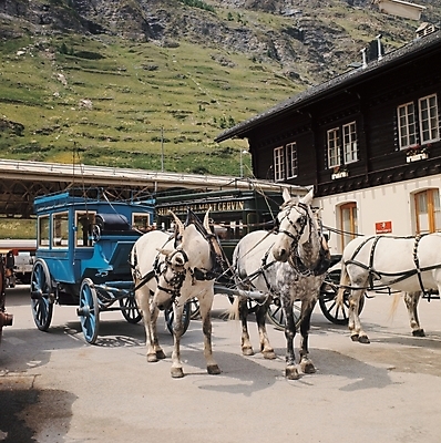 포토 JPG 주간 해외풍경 육상교통 사람없음 야외 운송업 말_동물 마차 국내포토 자연요소 해외 산업 교통수단 포유류 풍경 파일형식