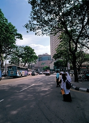 포토 JPG 주간 외국인 나무 해외풍경 해외 시설물 현대건축 건축 도로 길 육상교통 교통 자연 버스 풍경 도시 국내포토 자연요소 식물 건축물 교통수단 교통시설 대중교통 인종 생태계 파일형식