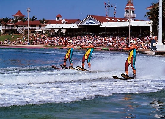 포토 JPG 주간 남자 바다 물놀이 사람 야외 세명 여름 레포츠 군중 구경 수상스키 시범 남자만 국내포토 자연요소 계절 놀이 레저 수상스포츠 파일형식