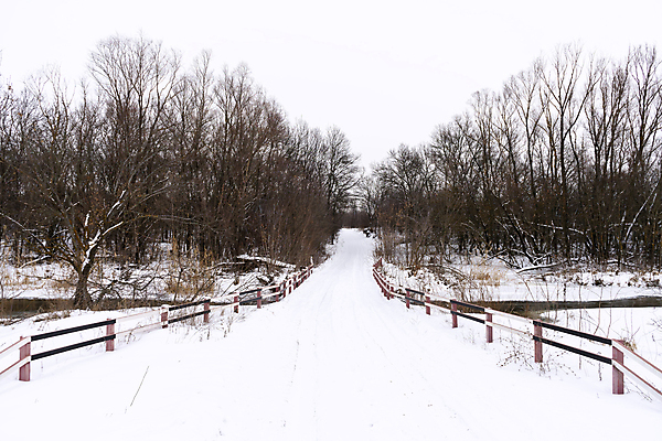 포토 JPG 해외이미지 나무 길 겨울 자연 사람없음 야외 울타리 눈 가로수 해외포토 자연요소 식물 계절 날씨 담장 생태계 파일형식 이미지허브