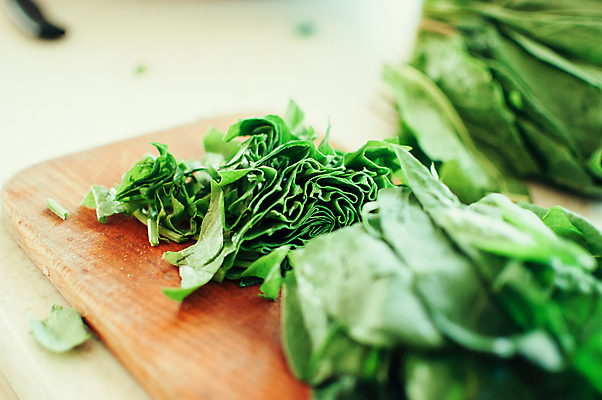 포토 JPG 해외이미지 식물 라이프스타일 접시 음식 백그라운드 잎 다이어트 채소 재료 건강 요리 사람없음 초록색 농장 저녁식사 샐러드 흰색 신선 상추 친환경 유기농 질감 채식 날것 시금치 내추럴 점심식사 채식주의자 비건 해외포토 식기 웰빙 컬러 농업 생활 환경 식사 파일형식 이미지허브