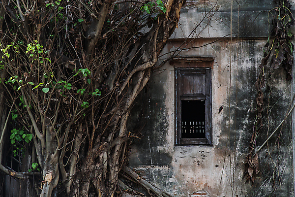 포토 JPG 해외이미지 나무 전통 디자인 외관 문화 벽 백그라운드 패턴 건축양식 창문 주택 프레임 사람없음 야외 건물 목재 장식 갈색 수확 골동품 시골 도시 중세 역사 묘사 부식 질감 복고 뿌리 시멘트 타운 그런지 깨짐 옛날 스타일 해외포토 식물 건축물 건축 컬러 컨셉 무늬 농업 재료 파일형식 이미지허브