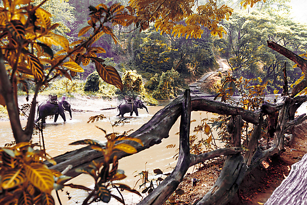 포토 JPG 해외이미지 동물 아시아 문화 길 야생동물 여행 포유류 태국 자연 코끼리 사람 동양인 사람없음 강 여행객 트래킹 승차 숲 방콕 해외포토 나라 모션 레저 인종 생태계 파일형식 이미지허브