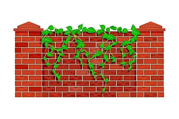 EPS 해외이미지 식물 외관 공원 벽 백그라운드 잎 꽃무늬 일러스트 자연 벽돌 주택 매달리기 야외 건물 장식 빨간색 초록색 여름 울타리 농장 마을 정원 바위 흰색 나뭇가지 시골 도시 만화 허브 사인 질감 오르기 장면 포도나무 아이비 고립 그런지 옛날 해외일러스트 나무 건축물 계절 공공시설 꽃 컬러 무늬 농업 모션 담장 돌_바위 과일나무 생태계 파일형식 벡터 이미지허브