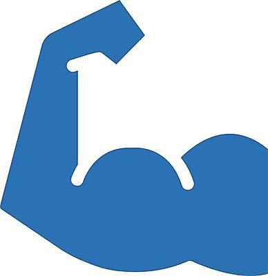EPS 해외이미지 클립아트 라이프스타일 스포츠 신체 일러스트 해부 근육 건강 운동 스트레칭 힘 경쟁 몸무게 큼 체육관 근육질 팔 건축업자 힘찬 해외일러스트 건축 컨셉 의학 생활 신체부위 크기 몸매 파일형식 벡터 이미지허브