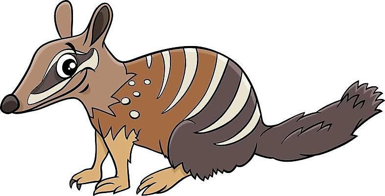 EPS 해외이미지 클립아트 동물 캐릭터 디자인 일러스트 포유류 발 동물원 종류 앉기 그래픽 호주 만화 그림 꼬리 마스코트 해외일러스트 일러캐릭터 모션 신체부위 오세아니아 파일형식 벡터 이미지허브