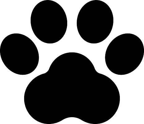 EPS 해외이미지 동물 디자인 행복 실루엣 백그라운드 일러스트 자연 그래픽 파란색 노란색 검은색 고양이 흰색 개 강아지 숲 인쇄 발자국 만화 발가락 고립 선로 양발 자취 해외일러스트 감정 컬러 포유류 자국 발 촬영기법 반려동물 생태계 파일형식 벡터 신체부위 사람 이미지허브