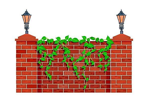 EPS 해외이미지 식물 외관 공원 벽 백그라운드 잎 꽃무늬 일러스트 자연 벽돌 거리 주택 매달리기 야외 건물 장식 빨간색 초록색 여름 울타리 농장 마을 정원 바위 흰색 나뭇가지 시골 등불 도시 만화 허브 사인 질감 오르기 장면 포도나무 아이비 고립 그런지 해외일러스트 나무 건축물 계절 공공시설 꽃 컬러 무늬 농업 모션 조명 담장 돌_바위 과일나무 생태계 파일형식 벡터 이미지허브