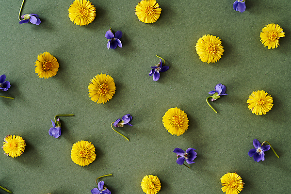 포토 JPG 해외이미지 꽃 백그라운드 패턴 사람없음 초록색 다양 패턴백그라운드 해외포토 식물 컬러 다수 무늬 파일형식 이미지허브