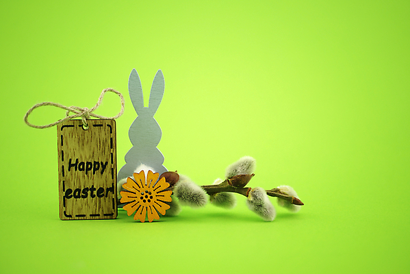 포토 JPG 해외이미지 전통 디자인 배너 계절 꽃 행복 종교 백그라운드 컨셉 꽃무늬 텍스트 자연 추상 휴가 부활절 기념 선물 이벤트 사람없음 장식 초록색 컬러풀 숫자 노란색 계란 축제 고양이 봄 수확 벚꽃 흰색 나뭇가지 축하 토끼 인사 신용카드 4월 버드나무 심볼 내추럴 미니멀 해외포토 나무 식물 문자 기념일 감정 컬러 무늬 농업 포유류 금융 반려동물 알 예절 날짜 생태계 파일형식 이미지허브