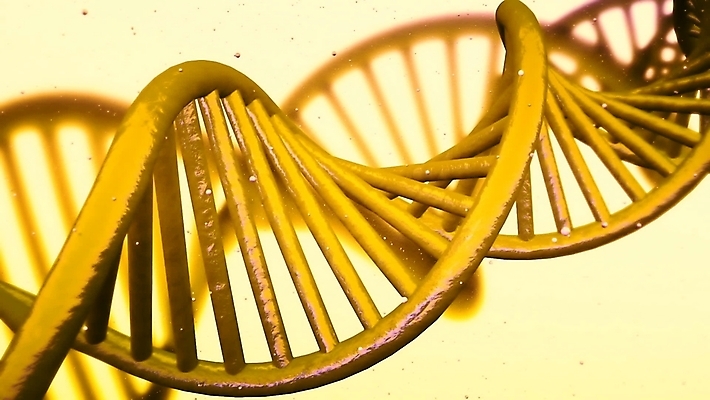 포토 JPG 해외이미지 모델 줄기 과학 백그라운드 추상 미래 세포 나선형 건강 사람 사람없음 파란색 약 3D 바이러스 암호 확대 DNA 생명공학 생물학 만들기 원자 염색체 공식 단백질 바이오 복제 유전 해외포토 식물 교육 컬러 컨셉 무늬 의학 모션 디지털합성 영양소 파일형식 이미지허브