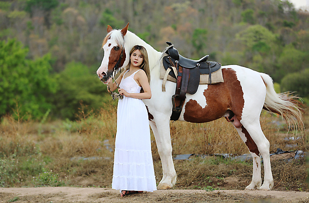 포토 JPG 해외이미지 주간 한마리 여자 한명 성인 야외 말_동물 승마 성인여자한명만 해외포토 자연요소 1 스포츠 포유류 사람 여자한명만 성인여자만 파일형식 이미지허브