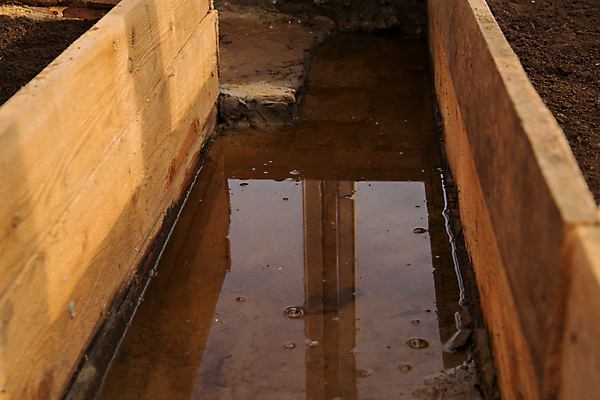 포토 JPG 해외이미지 식물 계절 농업 채소 자연 실내 사람없음 목재 상자 농장 흙 봄 성장 업무 준비 유기농 원예 채소밭 땅바닥 온실 해외포토 나무 웰빙 산업 밭 재료 바닥 취미 내부 작업 생태계 파일형식 이미지허브