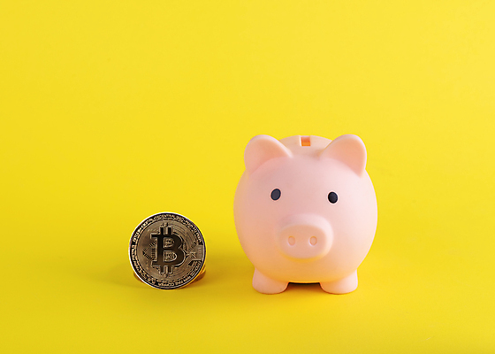 포토 JPG 해외이미지 분홍색 컨셉 돈 비즈니스 성공 미래 안전 사람없음 금융 장난감 동전 꿈 저축 돼지저금통 돼지 절약 재산 황금 보호 은퇴 심볼 오브젝트 무역 보안 투자 전자 이익 대출 고립 세금 위기 자금 해외포토 산업 컬러 포유류 경제 저금통 파일형식 이미지허브