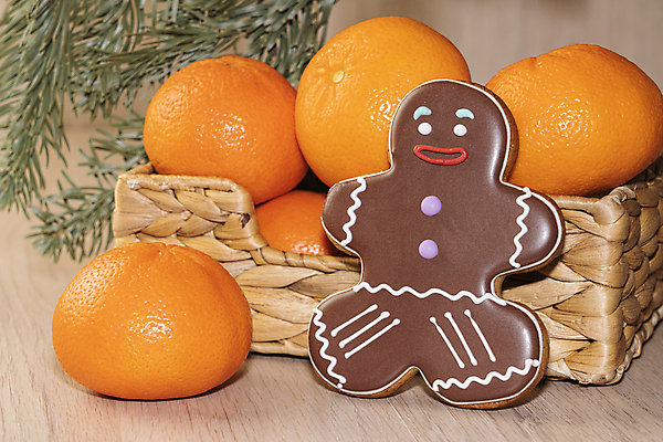 포토 JPG 해외이미지 크리스마스장식 크리스마스 새해 실내 사람없음 쿠키 달콤 진저맨 해외포토 기념일 디저트 내부 맛 진저쿠키 파일형식 이미지허브