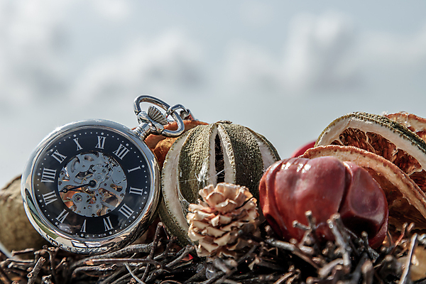 포토 JPG 해외이미지 모양 디자인 열매 지구 시계 백그라운드 컨셉 패턴 과일 비즈니스 하늘 추상 미술 사람없음 장식 빛 갈색 믿음 수확 골동품 시간 비교 역사 황금 은색 주머니 심볼 손목시계 오브젝트 복고 지역 돌봄 마감 옛날 철강 스타일 해외포토 식물 감정 컬러 무늬 농업 장신구 모션 문화예술 파일형식 이미지허브