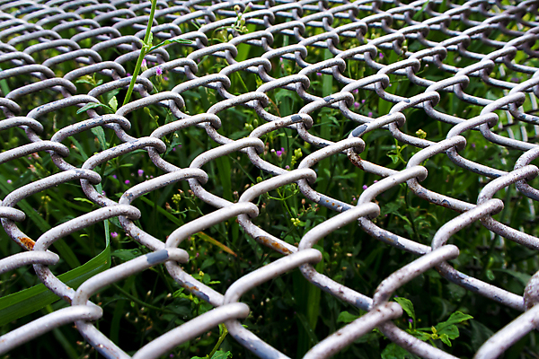 포토 JPG 해외이미지 모양 식물 공원 패턴 사람없음 야외 초록색 금속 정원 검은색 성장 덮개 은색 오브젝트 부식 질감 그런지 옛날 철강 해외포토 공공시설 컬러 무늬 재질 뚜껑 파일형식 이미지허브