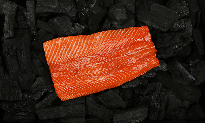 포토 JPG 해외이미지 계절 패턴 흡연 요리 사람없음 신선 닫기 바비큐 해산물 묘사 질감 연어 연료 숯 흙더미 덩어리 석탄 해외포토 음식 무늬 모션 담배 어류 흙 파일형식 더미 이미지허브