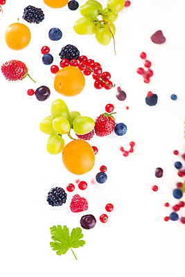 포토 JPG 해외이미지 열매 딸기 사람없음 청포도 블루베리 산딸기 베리 블랙베리 해외포토 식물 과일 포도 파일형식 이미지허브