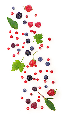 포토 JPG 해외이미지 열매 잎 딸기 사람없음 블루베리 산딸기 베리 블랙베리 해외포토 식물 과일 파일형식 이미지허브