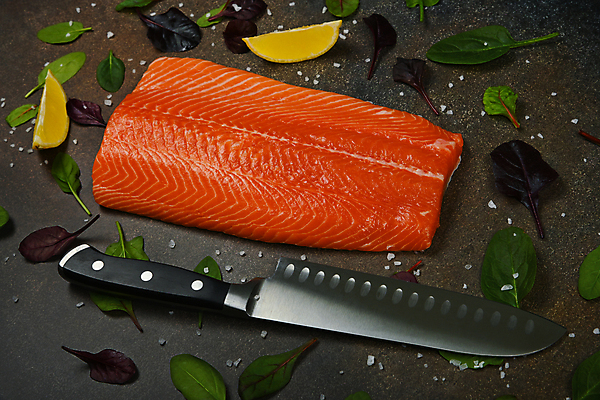 포토 JPG 해외이미지 잎 재료 표면 쟁반 요리 사람없음 샐러드 신선 양념 조미료 칼 닫기 레몬 해산물 향신료 연어 해외포토 식물 음식 과일 모션 어류 향미료 파일형식 이미지허브