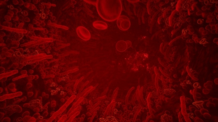 포토 JPG 해외이미지 세포 사람없음 빨간색 3D 적혈구 혈구 해외포토 컬러 디지털합성 혈관 파일형식 이미지허브
