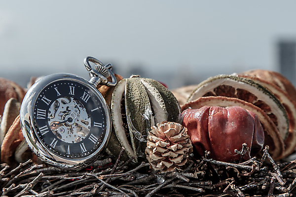 포토 JPG 해외이미지 주간 건조 사람없음 야외 골동품 빈티지 클래식 나침반 오브젝트 복고 솔방울 건과일 해외포토 자연요소 컨셉 과일 파일형식 이미지허브