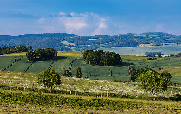 포토 JPG 해외이미지 식물 계절 유럽 도로 길 여행 밭 농업 자국 자연 하늘 산 풍경 사람없음 야외 목재 초록색 여름 파란색 뷰티 농장 환경 산책 시골 오솔길 언덕 폭풍 폴란드 밭일 폭풍우 해외포토 나무 나라 산업 컬러 재료 교통시설 날씨 휴식 비_날씨 자연재해 생태계 파일형식 이미지허브