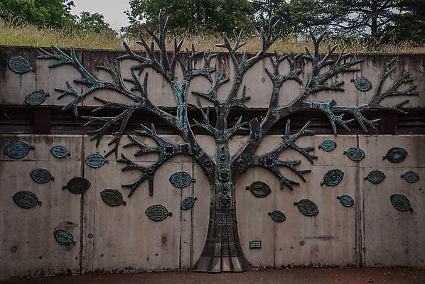 포토 JPG 해외이미지 나무 디자인 벽 백그라운드 패턴 사람없음 장식 정원 질감 해외포토 식물 무늬 파일형식 이미지허브