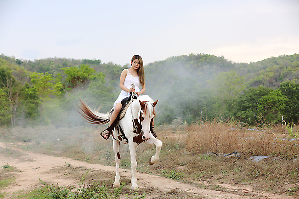 포토 JPG 해외이미지 주간 한마리 여자 한명 성인 야외 말_동물 승마 성인여자한명만 해외포토 자연요소 1 스포츠 포유류 사람 여자한명만 성인여자만 파일형식 이미지허브