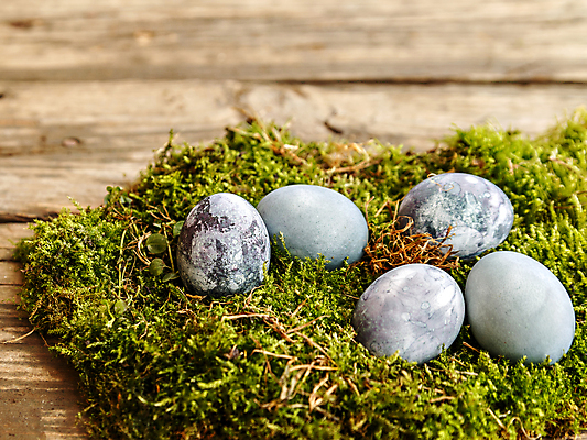 포토 JPG 해외이미지 전통 디자인 계절 야생동물 음식 컨셉 자연 탁자 조류 휴가 부활절 이벤트 사람없음 목재 장식 초록색 갈색 계란 축제 치킨 페인트 봄 시골 축하 둥지 4월 심볼 잔치 내추럴 해외포토 나무 동물 기념일 컬러 가구 재료 알 날짜 생태계 닭고기요리 파일형식 이미지허브