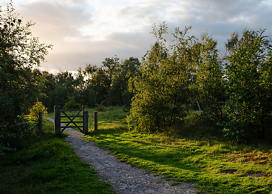 포토 JPG 해외이미지 나무 공원 도로 길 밭 자연 하늘 영국 잉글랜드 사람없음 목재 초록색 파란색 봄 시골 숲 요크셔테리어 먼지 선로 해외포토 식물 계절 공공시설 유럽 컬러 농업 재료 교통시설 테리어 생태계 파일형식 이미지허브