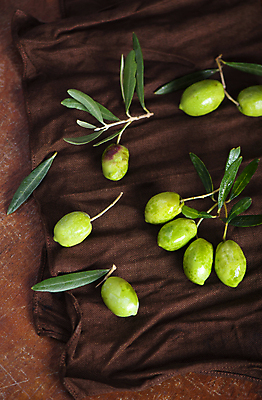 포토 JPG 해외이미지 잎 과일 사람없음 초록색 올리브 해외포토 식물 열매 컬러 파일형식 이미지허브
