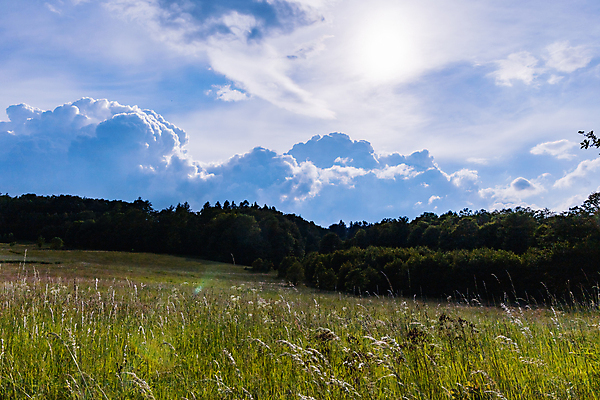 포토 JPG 해외이미지 식물 계절 유럽 도로 길 여행 밭 농업 자국 자연 하늘 산 사람없음 야외 목재 초록색 파란색 뷰티 농장 환경 산책 시골 오솔길 언덕 폭풍 폴란드 밭일 폭풍우 해외포토 나무 나라 산업 컬러 재료 교통시설 날씨 휴식 비_날씨 자연재해 생태계 파일형식 이미지허브