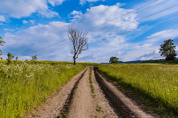 포토 JPG 해외이미지 나무 계절 유럽 도로 길 여행 밭 농업 자국 자연 하늘 산 풍경 사람없음 야외 목재 초록색 여름 파란색 뷰티 환경 맑음 산책 시골 오솔길 언덕 폴란드 수평선 해외포토 식물 나라 산업 컬러 재료 교통시설 날씨 휴식 생태계 파일형식 이미지허브