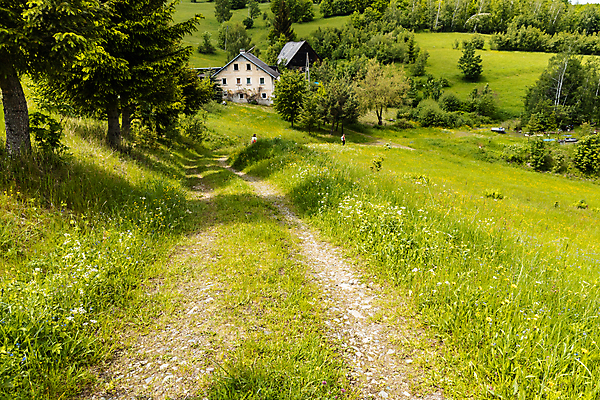포토 JPG 해외이미지 나무 계절 유럽 도로 길 여행 밭 농업 자국 자연 하늘 산 풍경 사람없음 야외 목재 초록색 여름 파란색 뷰티 환경 맑음 산책 시골 오솔길 언덕 폴란드 수평선 해외포토 식물 나라 산업 컬러 재료 교통시설 날씨 휴식 생태계 파일형식 이미지허브