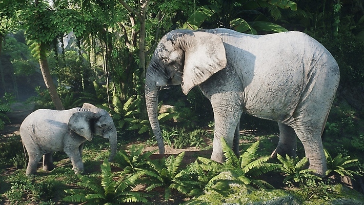 포토 JPG 해외이미지 동물 공원 아시아 야생동물 여행 포유류 가족 아프리카 자연 초식동물 코끼리 사람없음 야외 초록색 물 갈색 3D 환경 그룹 황무지 군중 큼 먹기 가득함 사파리 귀 슛 상아 멸종 내추럴 추적 사바나 전국 해외포토 자연요소 공공시설 나라 컬러 관계 모션 사람 신체부위 크기 디지털합성 생태계 파일형식 이미지허브