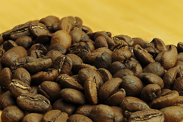 포토 JPG 해외이미지 커피 음료 백그라운드 사람없음 갈색 초콜릿 낟알 향기 성분 브라질 내추럴 고립 갈색배경 해외포토 컬러 디저트 남아메리카 냄새 파일형식 이미지허브