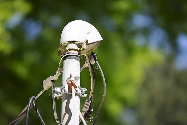 포토 JPG 해외이미지 동물 척추동물 응시 야생동물 선 과학 백그라운드 컨셉 날개 자연 조류 생물 앉기 사람없음 야외 가로 뷰티 환경 힘 다양 보호 작음 깃털 생물학 장면 철사 리빙 동물상 생태학 현재 해외포토 시선 교육 다수 모션 조형물 크기 생태계 파일형식 이미지허브