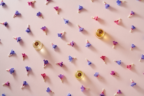 포토 JPG 해외이미지 식물 꽃 분홍색 컨셉 자연 유리 탁자 건강 3 사람없음 치료 뷰티 보라색 스파 봄 벚꽃 약재 신선 마사지 투명 약초 허브 유기농 향기 아로마 향 아로마테라피 테라피 내추럴 돌봄 에센스 자연요법 추출 치료제 파스텔톤 해외포토 웰빙 계절 컬러 가구 의학 모션 재질 약 화장품 풀_식물 생태계 냄새 파일형식 이미지허브