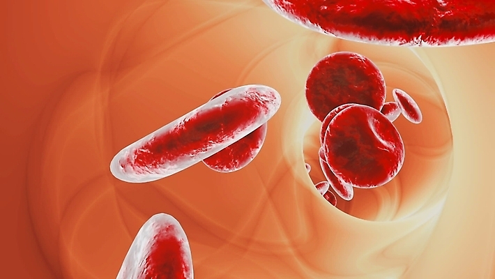 포토 JPG 해외이미지 세포 사람없음 3D 혈관 적혈구 혈구 해외포토 장기_의학 디지털합성 파일형식 이미지허브