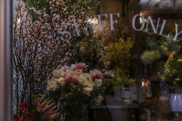 포토 JPG 해외이미지 식물 꽃잎 꽃 분홍색 꽃다발 백그라운드 잎 꽃무늬 자연 사람없음 장식 빨간색 초록색 여름 컬러풀 뷰티 장미 상점 정원 봄 벚꽃 가을 흰색 신선 다발 배열 꽃집 내추럴 힙스터 해외포토 계절 패션 컬러 무늬 생태계 파일형식 이미지허브