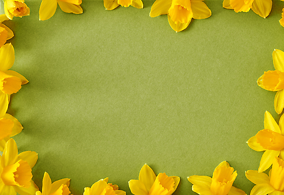 포토 JPG 해외이미지 식물 계절 꽃 종이 백그라운드 컨셉 자연 부활절 프레임 사람없음 초록색 노란색 봄 벚꽃 신선 생태계 원예 수선화 내추럴 카피스페이스 해외포토 기념일 컬러 취미 공백 파일형식 이미지허브