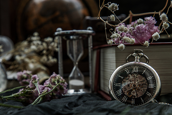 포토 JPG 해외이미지 꽃 사람없음 아웃포커스 책 지구본 골동품 빈티지 클래식 나침반 모래시계 오브젝트 복고 해외포토 식물 모래 시계 컨셉 촬영기법 파일형식 이미지허브