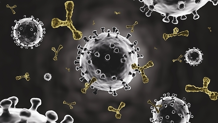 포토 JPG 해외이미지 과학 백그라운드 일러스트 세포 사람없음 치료 빛 약 노란색 3D 검은색 어둠 회색 바이러스 질병 생물학 만들기 감염 미생물 주사약 박테리아 면역력 백신 예방주사 인플루엔자 전염병 해외일러스트 교육 컬러 의학 모션 생물 주사기 디지털합성 예방 파일형식 이미지허브