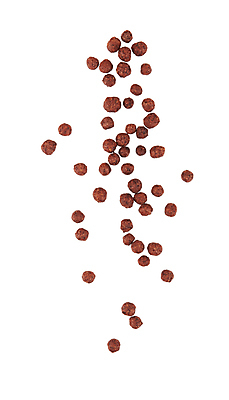 포토 JPG 해외이미지 접시 어린이 음식 조각 백그라운드 다이어트 재료 공 아침 건조 건강 옥수수 사람없음 갈색 초콜릿 식사 우유 흰색 신선 사발 달콤 맛 아침식사 정상 낟알 설탕 시리얼 먹기 가득함 유기농 흙더미 내추럴 고립 채식주의자 해외포토 주간 식기 웰빙 컬러 컨셉 모션 디저트 유제품 곡류 사람 흙 사기그릇 채식 파일형식 더미 이미지허브