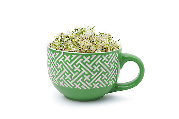 포토 JPG 해외이미지 식물 라이프스타일 음식 백그라운드 농업 다이어트 채소 재료 자연 건강 씨앗 사람없음 컵 초록색 새싹 성장 신선 사발 먹기 유기농 섬유 내추럴 채식주의자 비건 해외포토 식기 웰빙 산업 컬러 모션 생활 직물 사기그릇 생태계 채식 파일형식 이미지허브